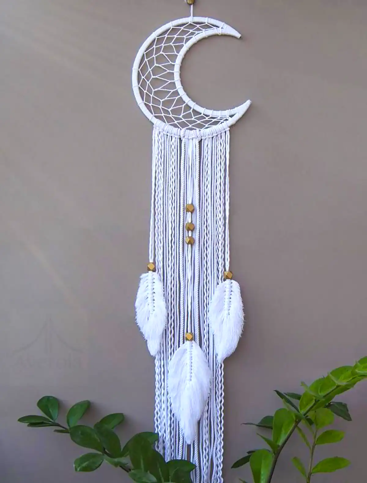 دریم کچر رنگ سفید