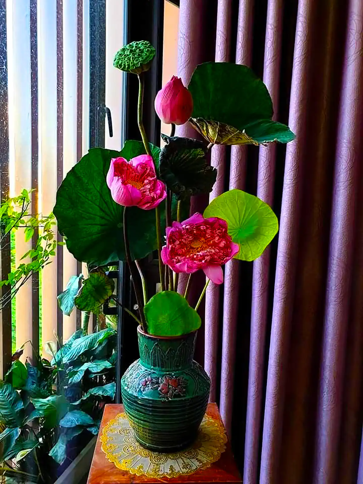 گلدان دکوری باگل های طبیعی
