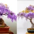 گلدان بنسای ویستریا؛ انتخابی ساده برای خلق حس آرامش در خانه + ۱۵ ایده متفاوت
